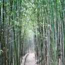 대청공원 공중화장실 이미지