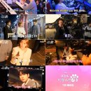 사랑스럽개 이미지