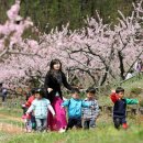 역곡초등학교1 이미지