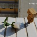 멀티하우스리빙텔 - 관악구 신원로 13 | 멀티하우스리빙텔