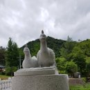 부곡동708-2~정재초교실11(정재초교 정문) 주변 | 홍천수타사,공작산수타사생태숲길2018.6.10.