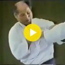 Back to the roots- Waki Gatame 이미지