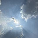 동산카센타 | 운전일기13- 초보운전의 꽃말은 연속적인 목적지 변경