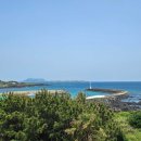 제주도게스트하우스파티바랑쉬성산점 이미지