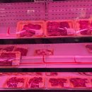 도군로-2 이미지