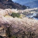 구례의 휴일 이미지