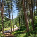 나남수목원(책박물관) 이미지