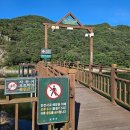 용마루길(데크끝) | 담양 추월산 용마루길 드라이브 가을 산책 트래킹 코스