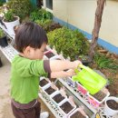 새장유어린이집 이미지