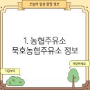 묵호농협주유소 이미지