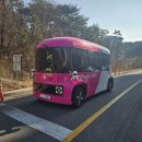 '자율주행 실증도시' 판 커졌다... 울산 "광주보다 더 크게" 선점 나섰다 이미지