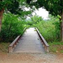 숲스토리야영장 이미지