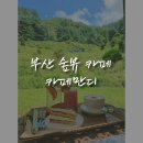 만디 이미지