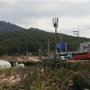 산양읍사무소 이미지