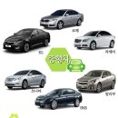 (주)거제곰두리렌트카 이미지