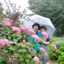 수남농장 이미지