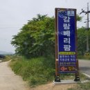 감람농장 이미지