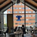 블루메쯔 | [광화문 맛집] 블루메쯔 / 테라스 이용 / 슈바인학센...직장인 점심 회식 추천 / 내돈내산 / 솔직후기