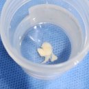 강남스탠다드정형외과의원 이미지