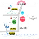 리나서프