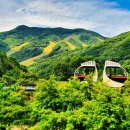 여름에 떠나는 가든 체험 여행 이미지