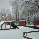 청대초등학교 이미지