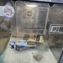 서울시야생동물센터 이미지