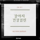 엘동물병원 이미지