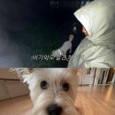 밸런스요가(야) 이미지