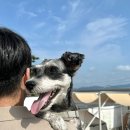제우스노래연습장 | [일상♥] 오랜만에 가족들 모여서 놀다 온 후기 | 강화도 케이131 | 송도 트리플스트리트 | 인천 가족모임