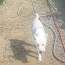 솔비농장 이미지