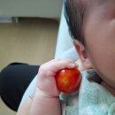 이원재 농장 이미지