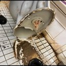 사이람레스토랑 이미지