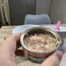 심바앤레오