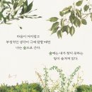 경남야생생물보호협회 | [한겨레출판 하니포터 10기] 식물학자의 숲속 일기 | 신혜우 | 자연의 아름다운 질서를 일깨우는 다정한...