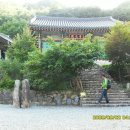 곡성-166 Daum카페