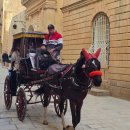 예술인기살리기<대중음악2> | 스페인 여행 경비 스페인 자유여행 일정 그라나다 맞춤 패키지