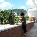 반송1동경로당 이미지