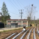 일번지농장 이미지