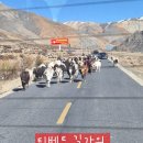 에베레스트 트레킹 이미지