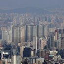 마곡롯데캐슬공인중개사사무소 이미지