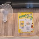 먹보냉면 | [일상기록] 26.04.13~26.04.19 ; 먹보의 일상