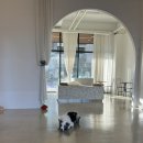 도그 앤 조이 이미지