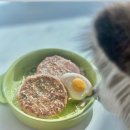 어뇽어뇽 이미지