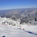 세븐부영 이미지