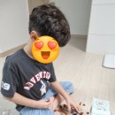 TNT PC | 레고 마인크레프트_21263,21269_8살 남자아이 생일 선물