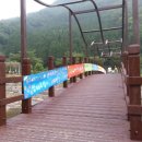 꽃나라유치원 이미지