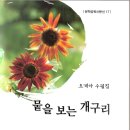 오계아 선생님의 수필집 [뭍을 보는 개구리]가 나왔습니다. 이미지