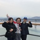 보물약국 이미지