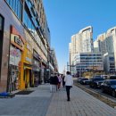 아브뉴프랑 옐로우 이미지